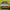 Balloon Burst Water Balloon Game — SQ Arcade