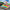 Carnival Parade Float Game — SQ Arcade
