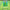 Football Toss Arcade Game — SQ Arcade