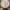 Lucky Spin Wheel Game— SQ Arcade