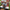 Pie in Face Carnival Game — SQ Arcade