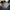 Duck Feather Pulling Arcade Game —SQ Arcade