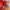 Red Speed Reaction Arcade Game — SQ Arcade