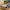 Horse Racing Ball Arcade Game — SQ Arcade