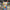Water Bucket Carnival Game — SQ Arcade