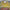 Duck Fishing Carnival Game — SQ Arcade