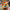 Carnival Hat Toss Game — SQ Arcade
